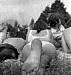 0180-34.jpg