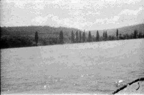 0146-41.jpg