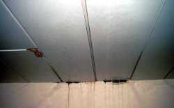 Bild0139