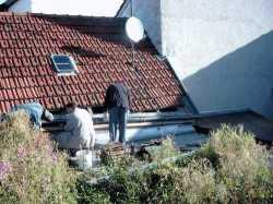 bild164