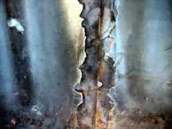 bild167